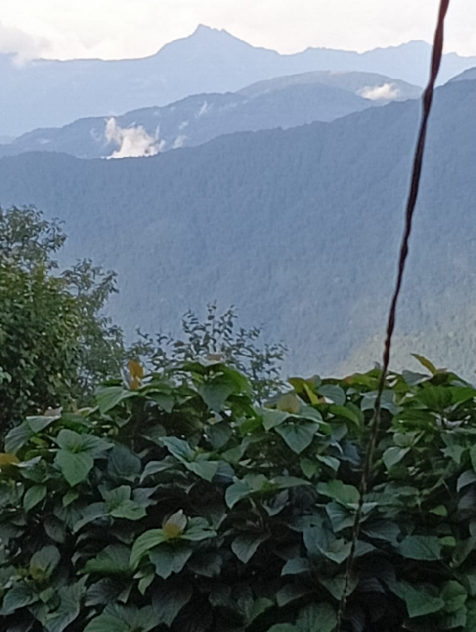 Kanchenjunga Mountain View